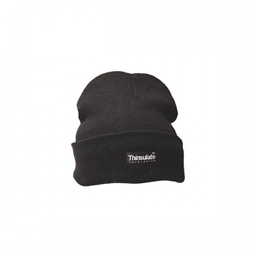 thinsulate wool beanie