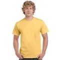 Gildan 5000 Heavy Tee shirt