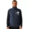 Personalised Regatta Thermal bodywarmer TRA935