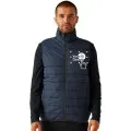 Personalised Regatta Thermal bodywarmer TRA935