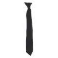 Clip on Tie