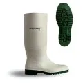 Non Safety Wellington boot BBW03