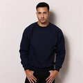 Maddins MD01M Raglan sweatshirt