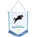 Custom Printed Pennant 25cm x 18cm XP4017