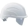 Centurion SPARE VISOR ONLY PK6 254911
