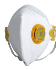 Disposable Dust Masks