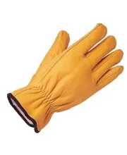 General Use Gloves
