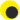 Yellow/Black