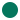 Paramedic Green