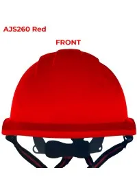 Personalised JSP EVO Lite SkyworkerHelmet AJS260