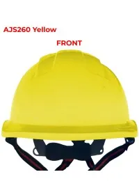 Personalised JSP EVO Lite SkyworkerHelmet AJS260