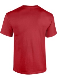 Custom Embroidered Kids Tee Shirt UC306