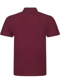 Unisex Short Sleeve Pro Poloshirt RX101 Personalised