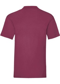 Custom Printed Value Weight Tee Fruit of the Loom SS030