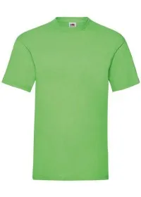 Custom Printed Value Weight Tee Fruit of the Loom SS030