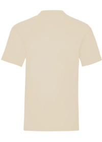 Custom Printed Value Weight Tee Fruit of the Loom SS030