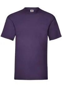 Custom Printed Value Weight Tee Fruit of the Loom SS030