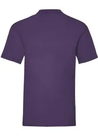 Custom Printed Value Weight Tee Fruit of the Loom SS030