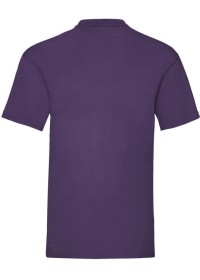 Custom Printed Value Weight Tee Fruit of the Loom SS030