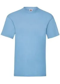 Custom Printed Value Weight Tee Fruit of the Loom SS030