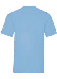 Custom Printed Value Weight Tee Fruit of the Loom SS030