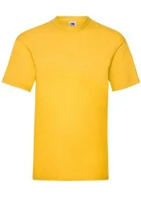 Custom Printed Value Weight Tee Fruit of the Loom SS030