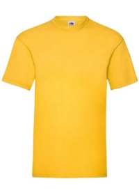 Custom Printed Value Weight Tee Fruit of the Loom SS030