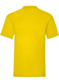 Custom Printed Value Weight Tee Fruit of the Loom SS030