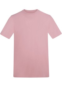 Custom Printed Short Sleeve T Shirt Awdis AT002 180GSM