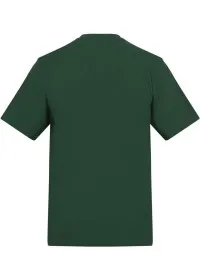 Custom Printed Short Sleeve T Shirt Awdis AT002 180GSM