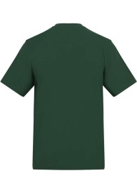 Custom Printed Short Sleeve T Shirt Awdis AT002 180GSM