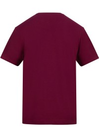 Custom Printed Short Sleeve T Shirt Awdis AT002 180GSM