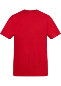 Custom Printed Short Sleeve T Shirt Awdis AT002 180GSM