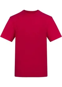 Custom Printed Short Sleeve T Shirt Awdis AT002 180GSM