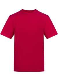 Custom Printed Short Sleeve T Shirt Awdis AT002 180GSM