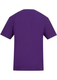 Custom Printed Short Sleeve T Shirt Awdis AT001 150GSM