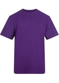 Custom Printed Short Sleeve T Shirt Awdis AT002 180GSM