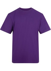 Custom Printed Short Sleeve T Shirt Awdis AT002 180GSM