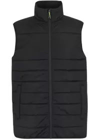 Personalised Regatta Thermal bodywarmer TRA935