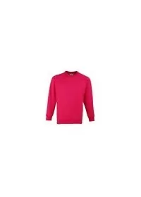 Maddins MD01M Raspberry