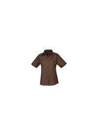 Premier PR302 Brown