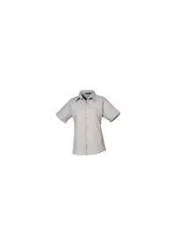 Premier PR302 Silver
