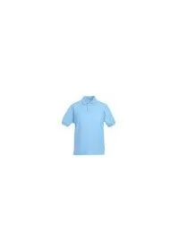 Fruit of the Loom SS417 Sky Blue