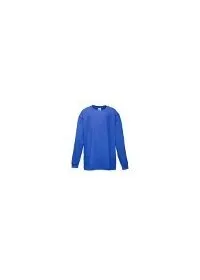Fruit of the Loom SS007 Royal