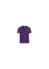Gildan GD05B Purple