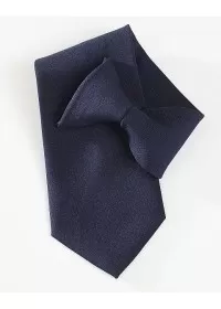 navy clip on Tie