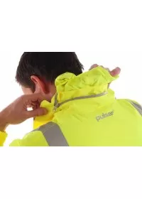 Pulsar P421 Jacket collar