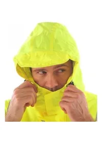 Pulsar P191Jacket collar