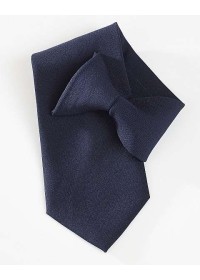 navy clip on Tie