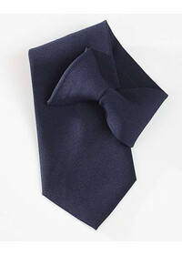 navy clip on Tie